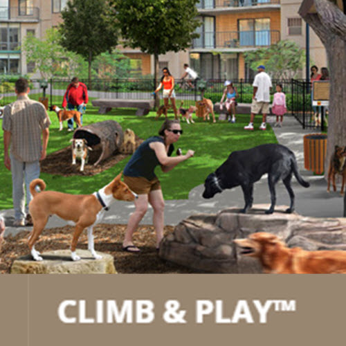 CAD Drawings Gyms For Dogs™ Climb & Play™